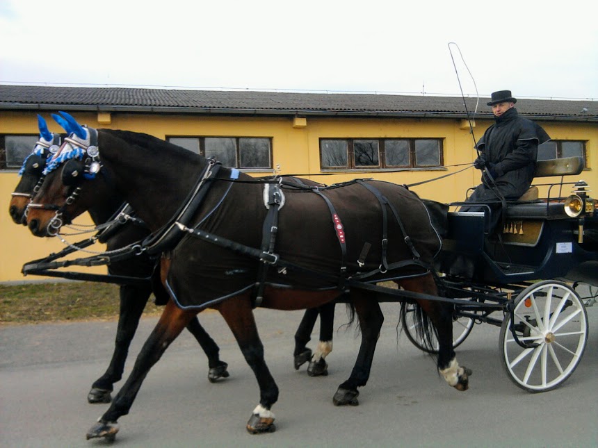 jedemedopráce