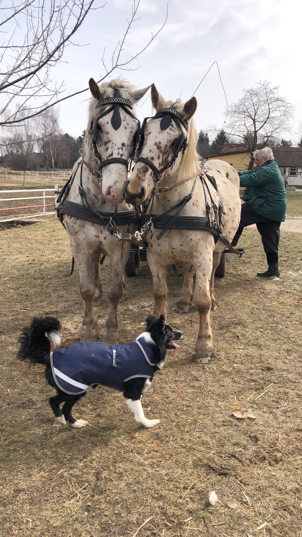 adopraceshlidačem